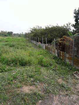 AF344 竹田農地