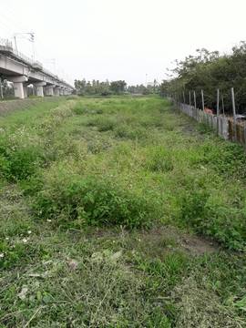 AF344 竹田農地
