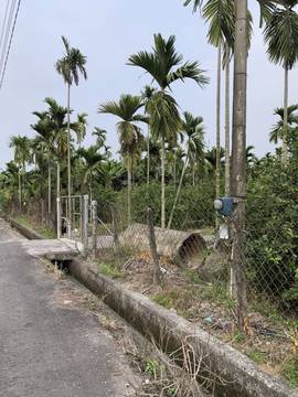 AF376 新埔農地