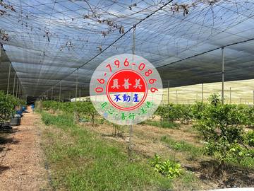 #4610 玉井網室水果園農地