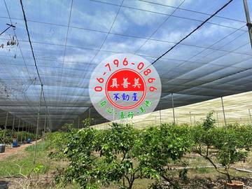#4610 玉井網室水果園農地