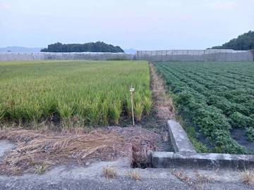 林內長流田地