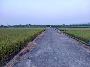 林內長流田地