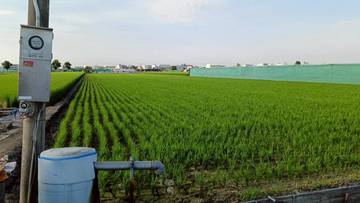 西螺廣興路旁農地