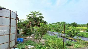 古坑-綠色隧道旁特定專用區農地6.62分