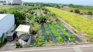 古坑-綠色隧道旁特定專用區農地6.62分