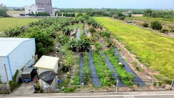 古坑-綠色隧道旁特定專用區農地6.62分