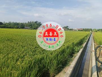 #4732 西港有地下水農地