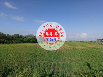 #4728 麻豆近烏橋中路農地