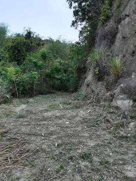 斗六4.7甲山林渡假莊園
