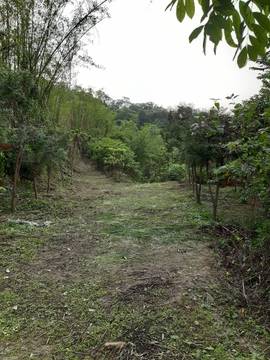 斗六4.7甲山林渡假莊園
