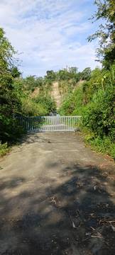 斗六4.7甲山林渡假莊園